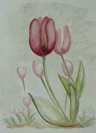 30 X 40 cm Aquarell