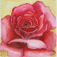 25 X 25 cm Aquarell