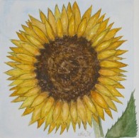 25 X 25 cm Aquarell