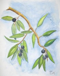 30 X 40 cm Aquarell