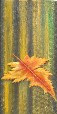 20 X 40 cm Acryl