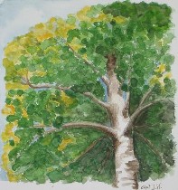 25 X 25 cm Aquarell