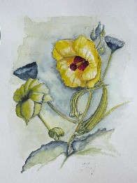 30 X 40 cm Aquarell